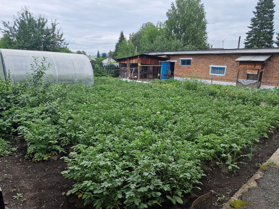 Продам большой дом.