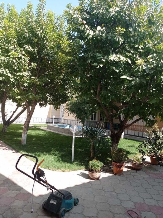 Яккасарайский район Ракат Мукумий улица