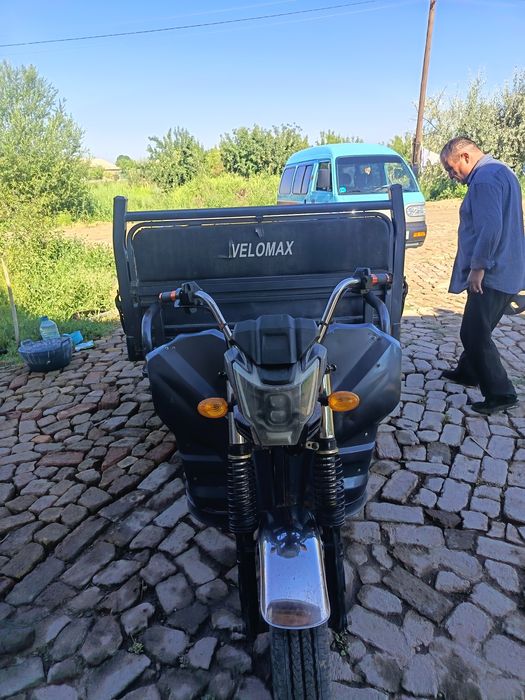 Moto muravey narmalniy