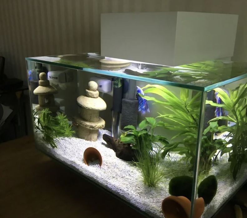 Аквариум новый fluval