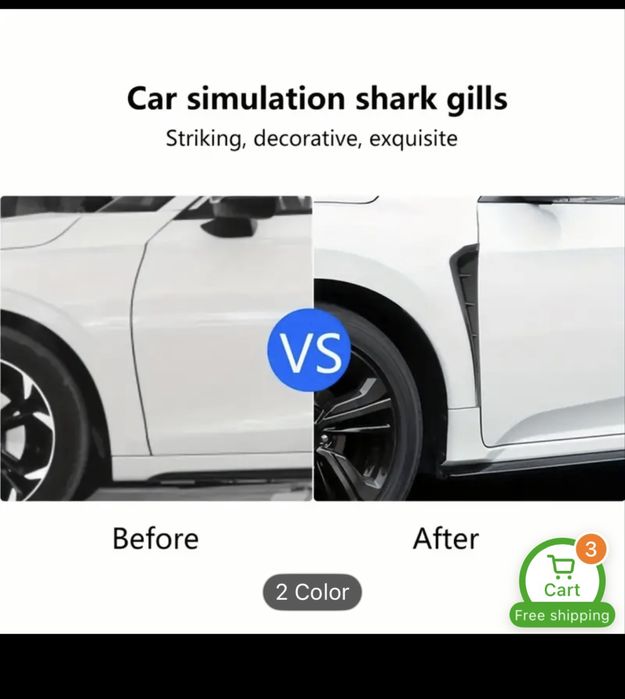 Vand Ornament lateral aspect Carbon .