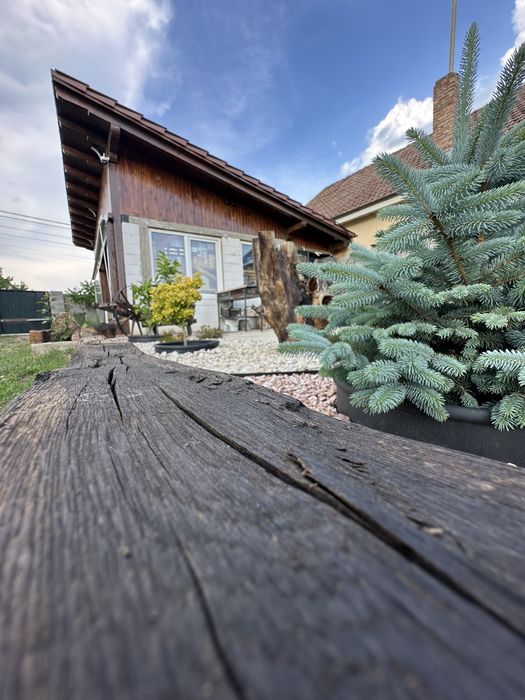 Vand propietate in Galda de Jos , 4700 mp