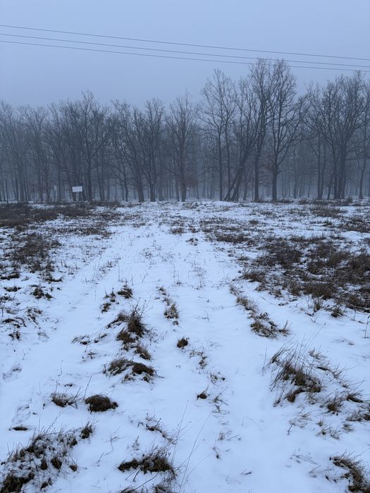 Teren intravilan Palilula 1000mp