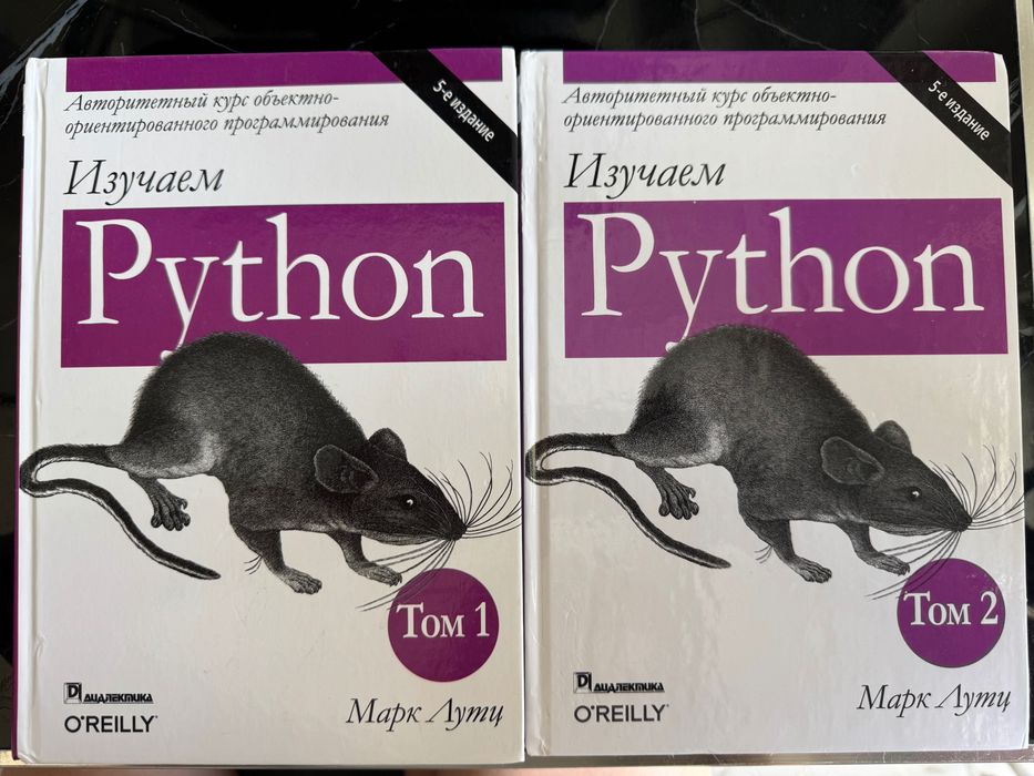 Книга по АйТи Python