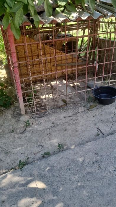 220 eni   bo'yi 130 sm  alabay itlar uchun qafas.