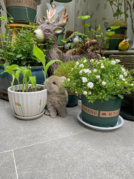 “Farzandingizga telefon emas - tirik do’st bering!