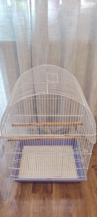 Colivie mare papagali.