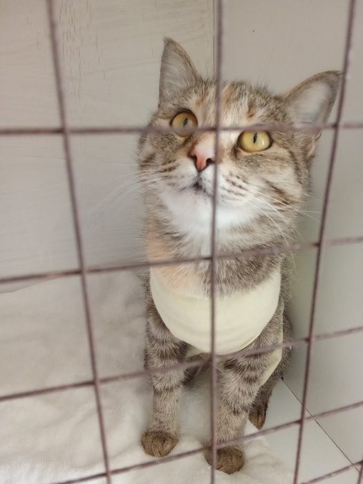 Малышка ищет семью