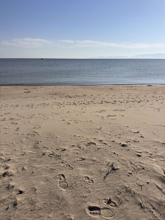 Дава се под наем Земеделски имот в София, Дружба 1 -  кв.м за 13964.31 € - Снимка #8