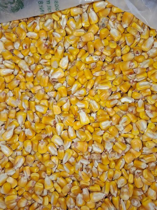 vand cereale, ovaz, mazare, porumb, soia, grau