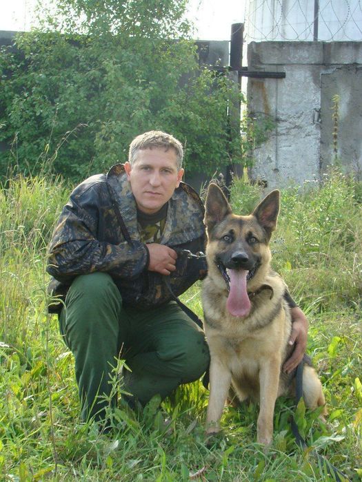 Кинолог, выезд .