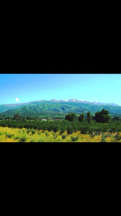 Турген участок