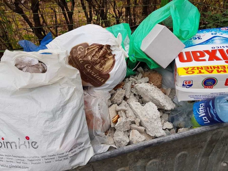 gazon fara ierburi , copaci curati