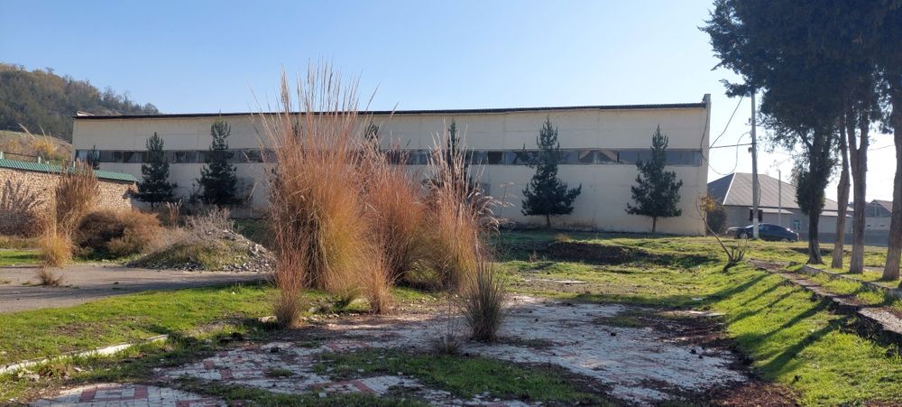 Срочно бино сотилади