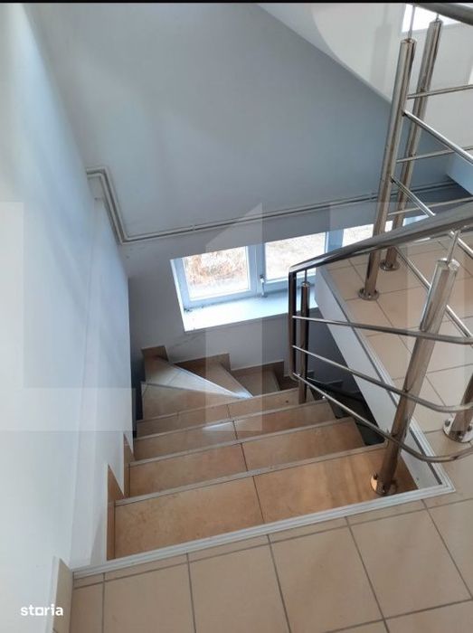 Casa+Spatiu Pentru Afacere/Locuit Iancu Jianu