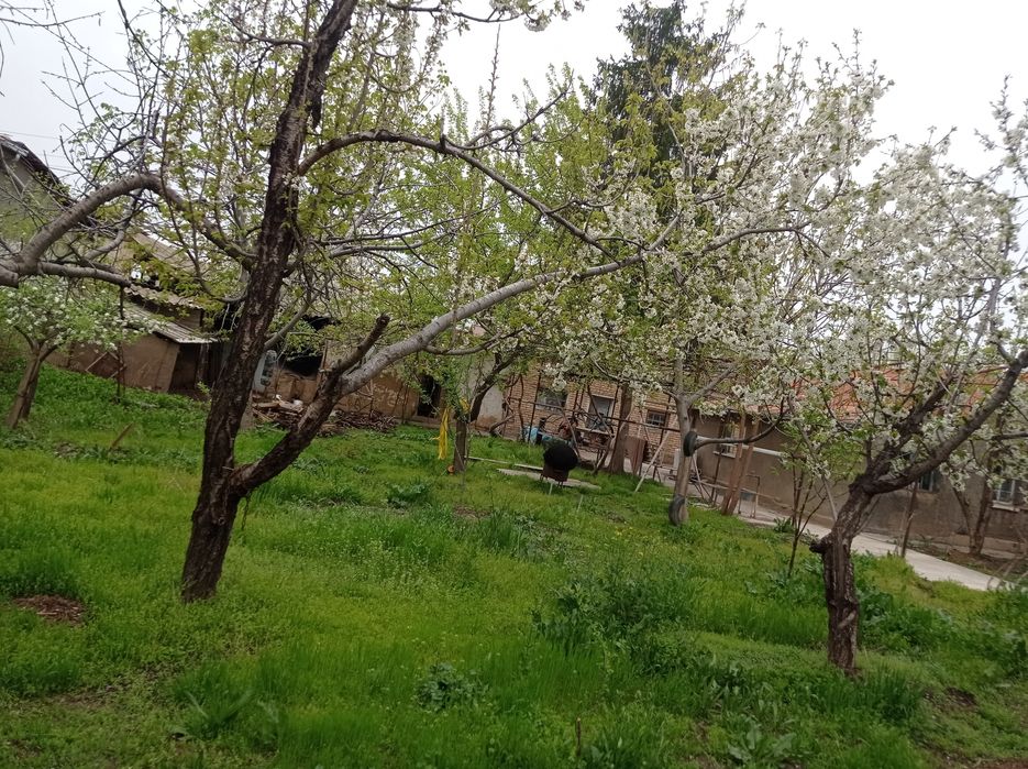 Товоксойнинг золотой точкасидан уй сотилади 12 соток