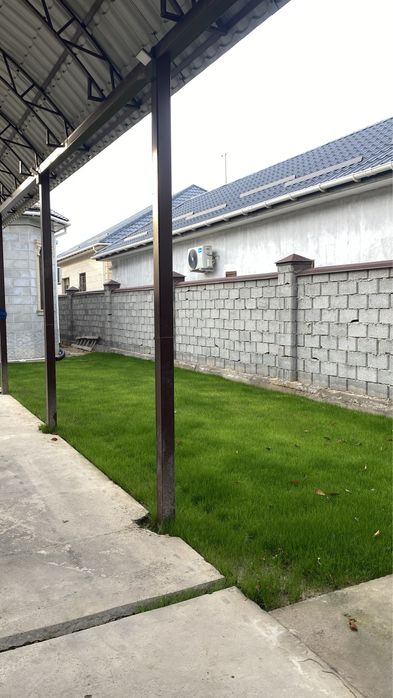 Газон Автополив Газон Полив