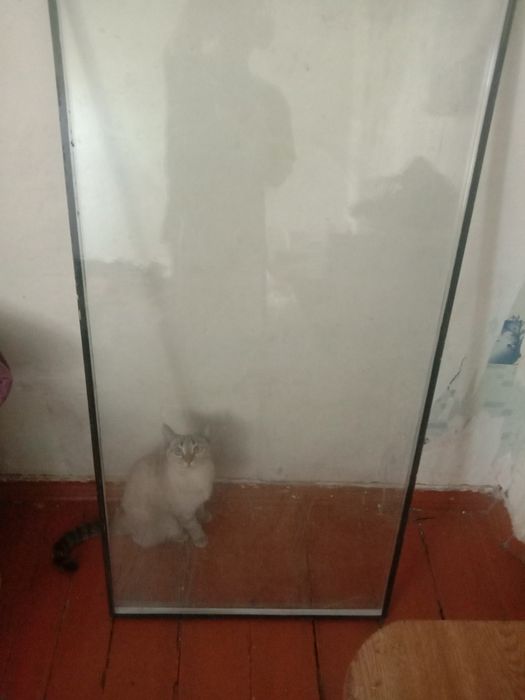 Карогандинская обл Абай