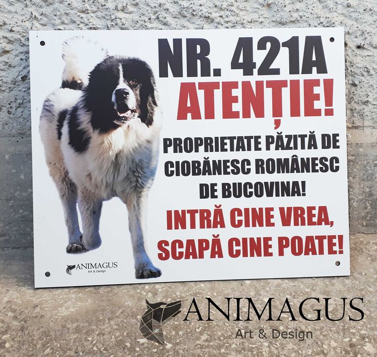 Placa Avertizare Caine Rau Periculos Ciobanesc de Bucovina