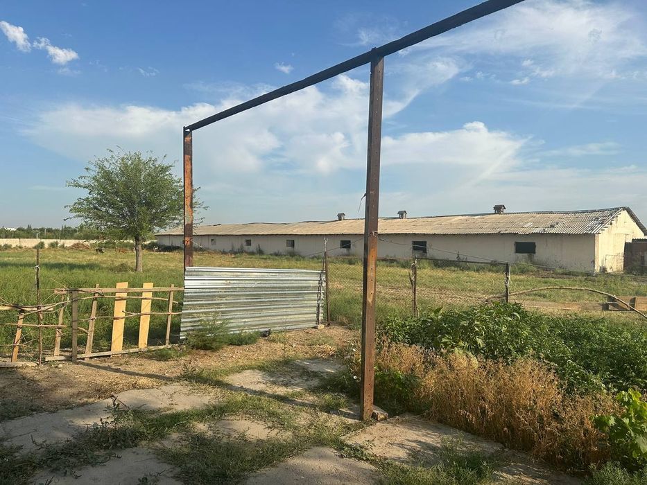 Ferma. Chorva mollari uchun.