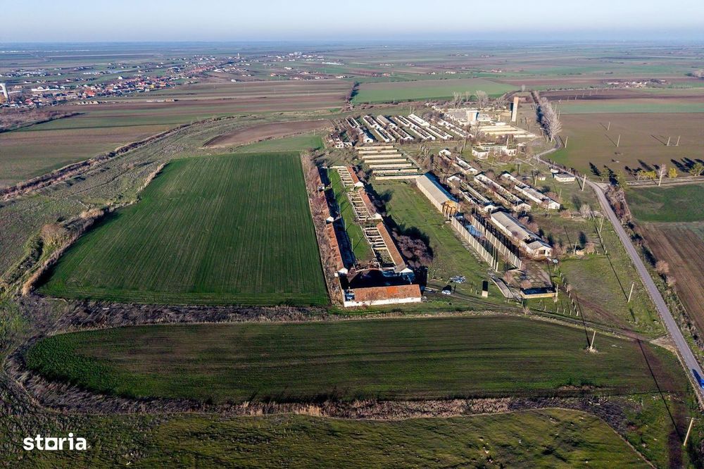 NĂDLAC | Teren 1.15 HA lângă Autostradă | 2.500mp Hale