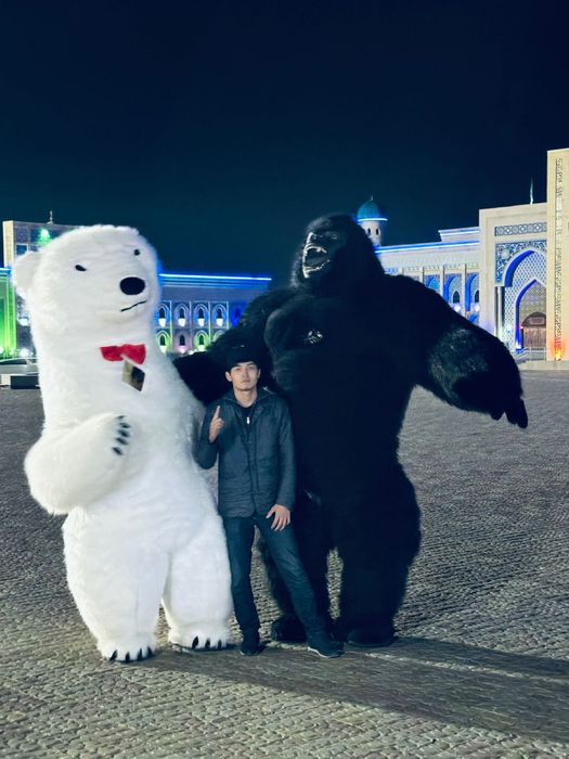 Мишка гарила умка