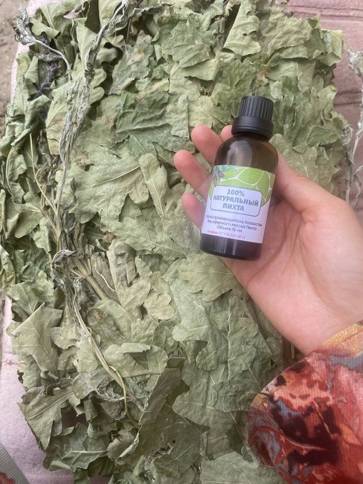 Дубовый веник Атырау