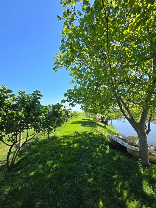 Продава се Парцел в с. Здравец, Област Търговище - 1 кв.м за 418200 €/кв.м - Снимка #2