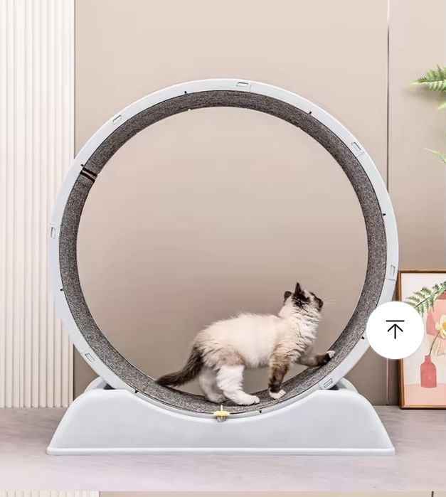 Пътека колело за котки и малки кучета до 12 кг