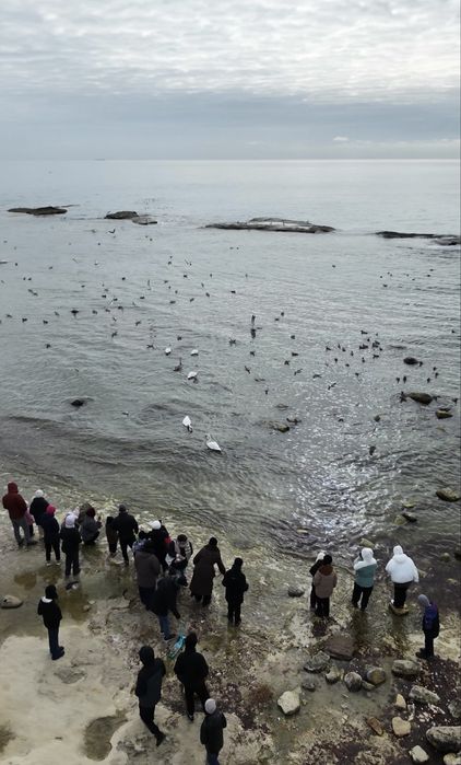 Обучение основам управления дрона.