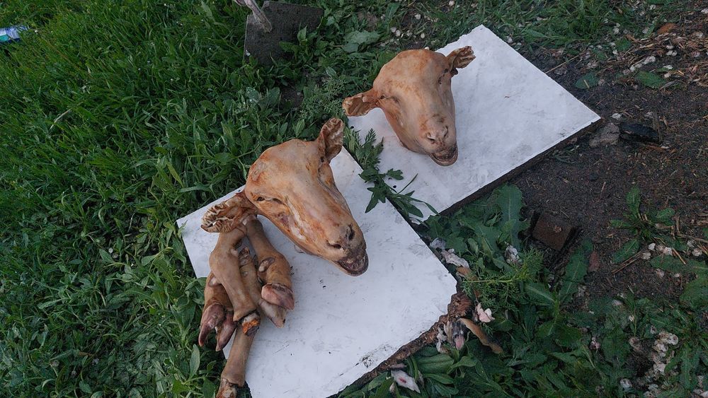 Баранина голова нога карын