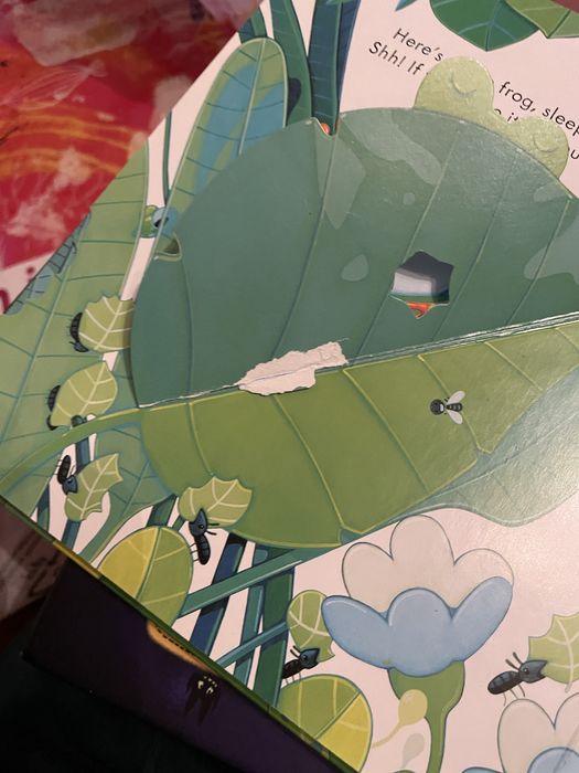 Set 2 carti usbone si litera mica copii