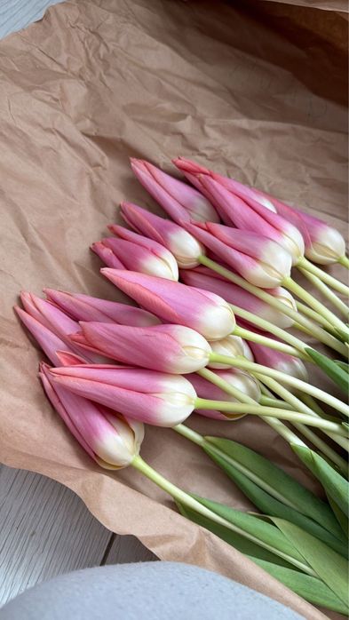 Тюльпаны на 8 марта | Предзаказ