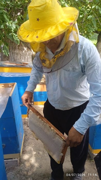 Togʻ asali sotiladi