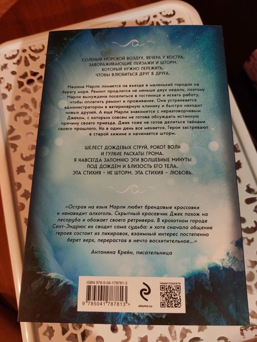 Карина Шнелль- книги Шторм и Ночь