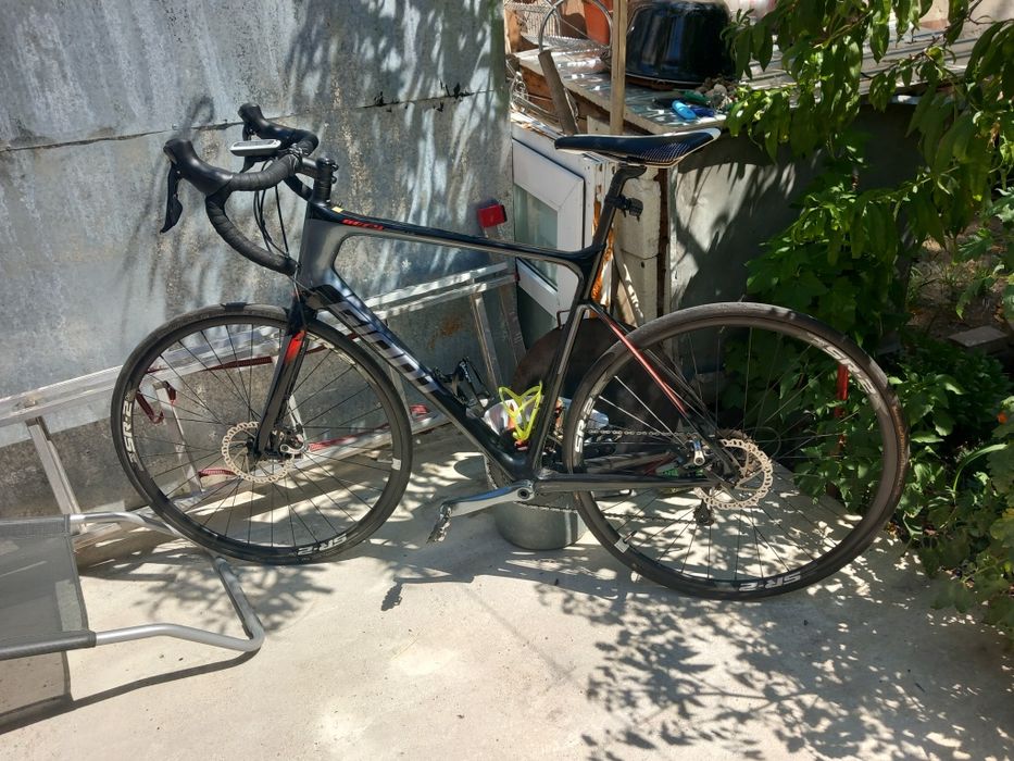 Cursiera giant carbon