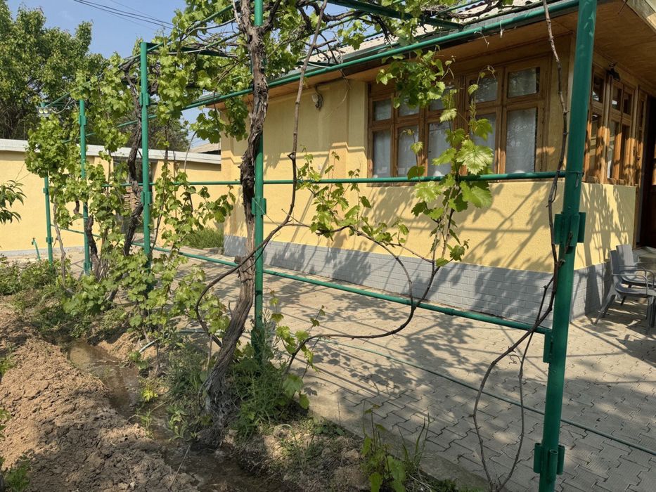 Dala hovli Sotiladi srochno (dacha)