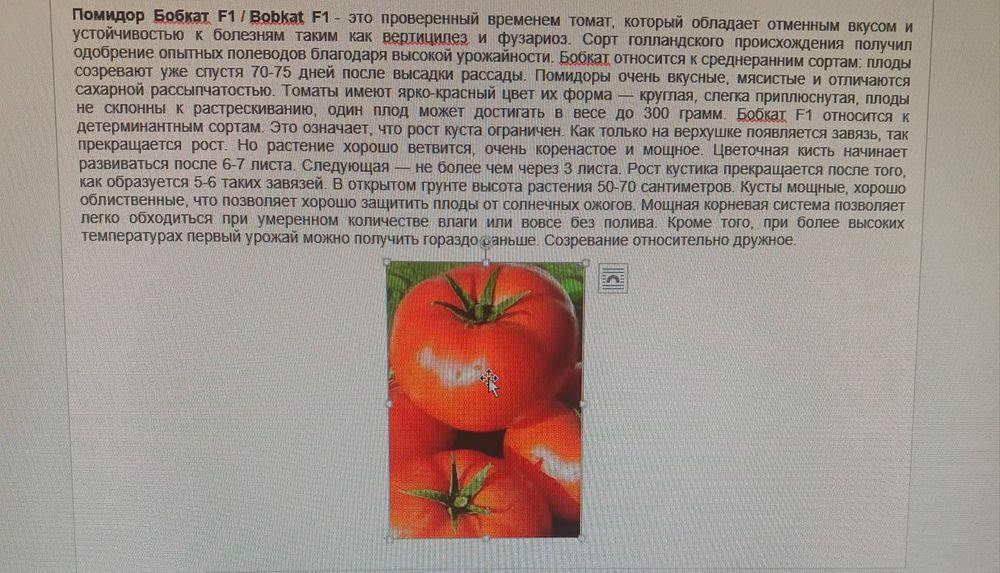 Продам семена огурцы, морковь, свёкла, помидоры