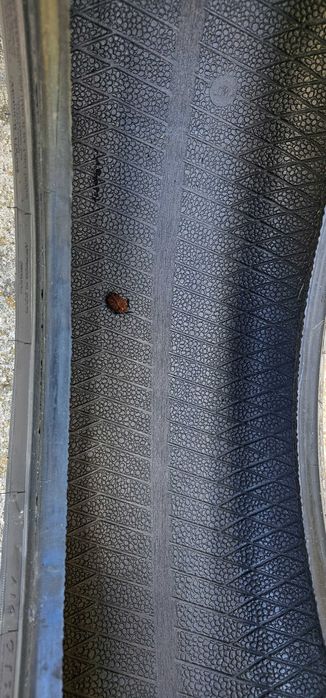 Cauciuc Dunlop Sport Bluresponse  205/55/R16/91V Germany DOT 2017