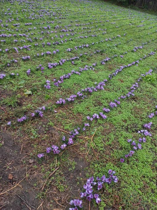 Sofran  de vânzare  de calitate  foarte bună