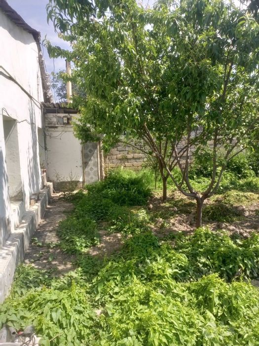 Риэлтор. Продам 8 соток. На против тмз. От кольца 8 км