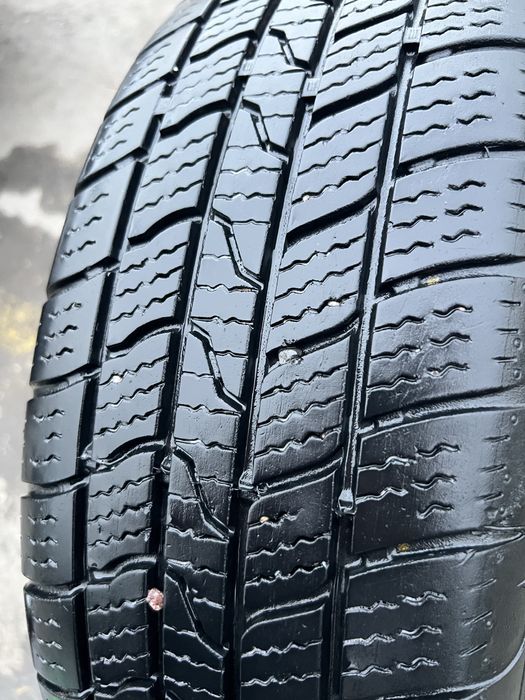 Jentra saka 15  formula 1:1