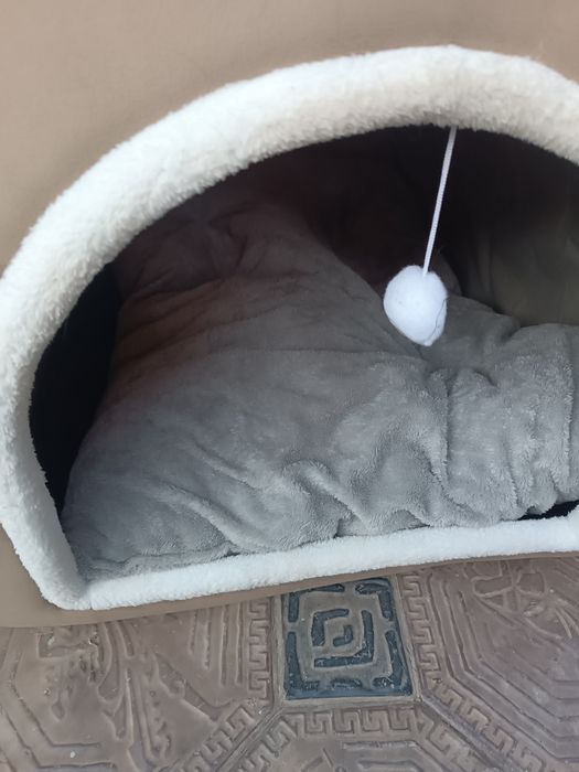 Дом для собаки быстро сборный