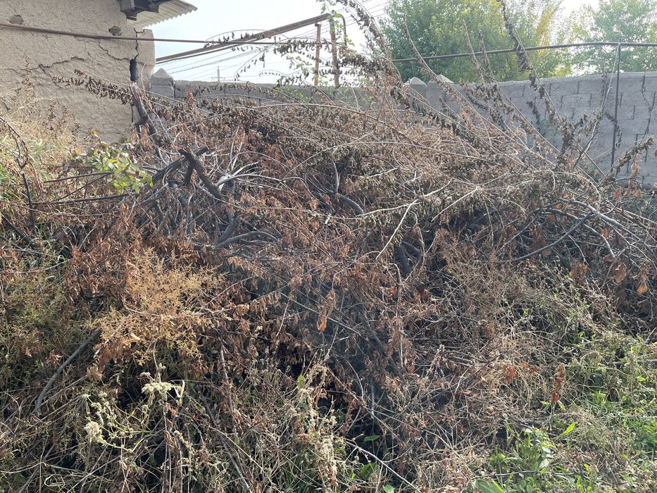 Есіктер,рейкалар,отын,тас, бағасы келісімді