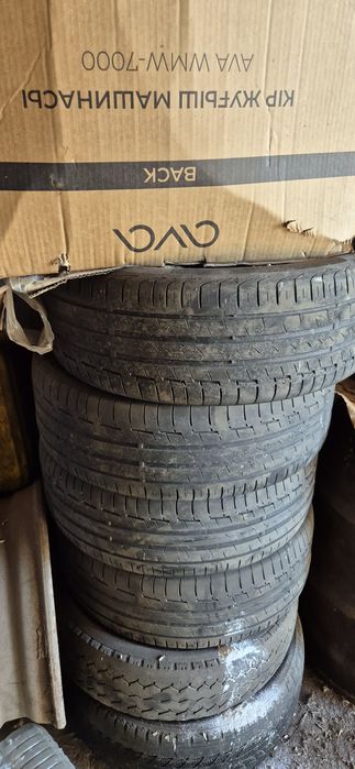 Continental лето