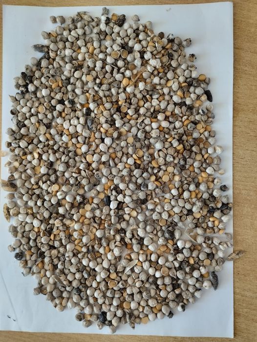 Ячмень.Зерновой чат!Все корма.