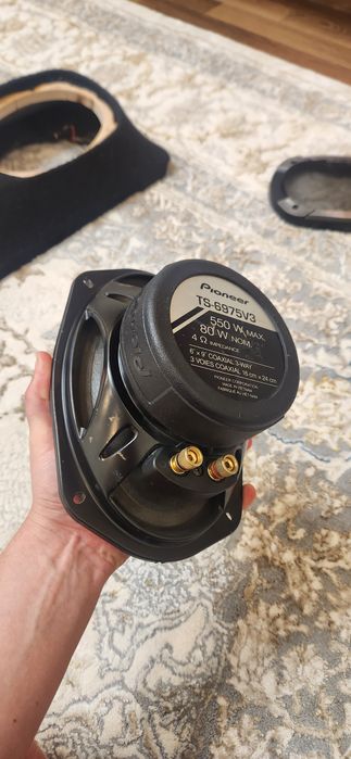 Pioneer TS-6975V3