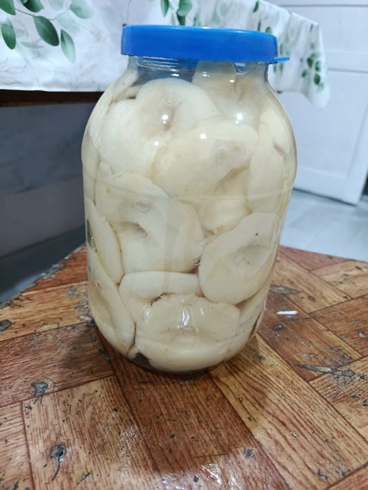Продам грибы соленые