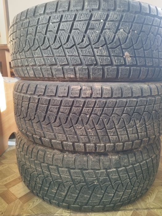 Шины зимние Triangle