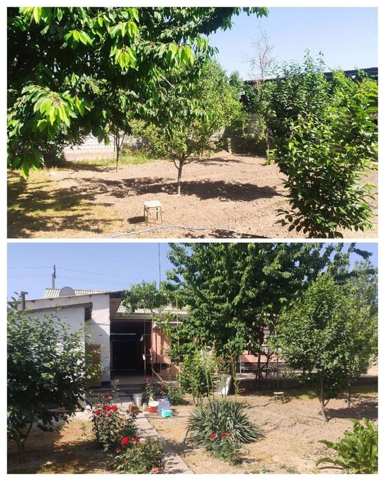 Ташмореда уй сотилади...